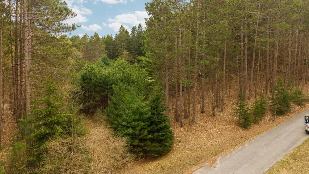 3695 W Timber Lane Kasson Township, MI 49630