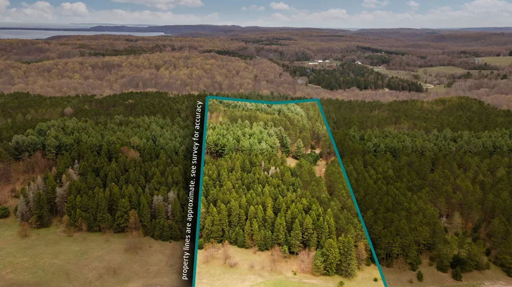 3695 W Timber Lane Kasson Township, MI 49630