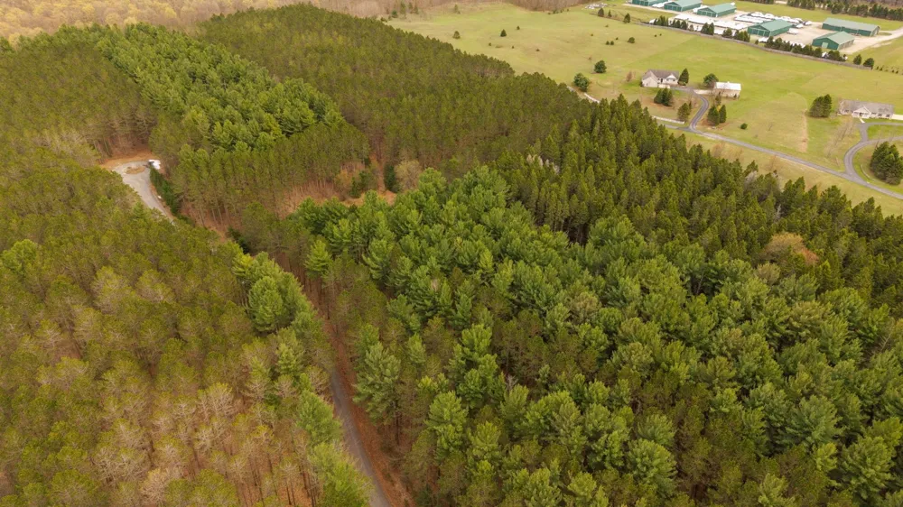 3695 W Timber Lane Kasson Township, MI 49630