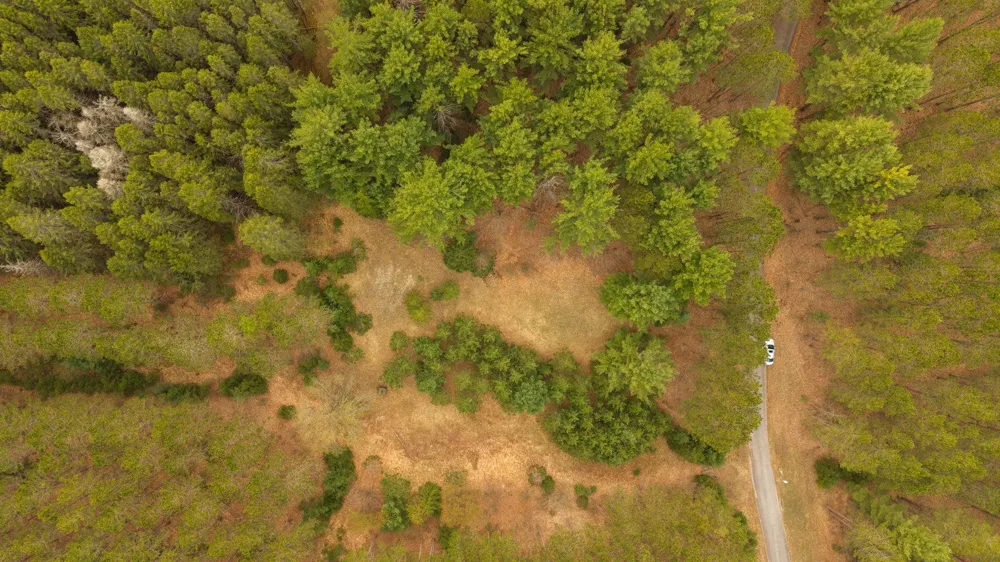 3695 W Timber Lane Kasson Township, MI 49630