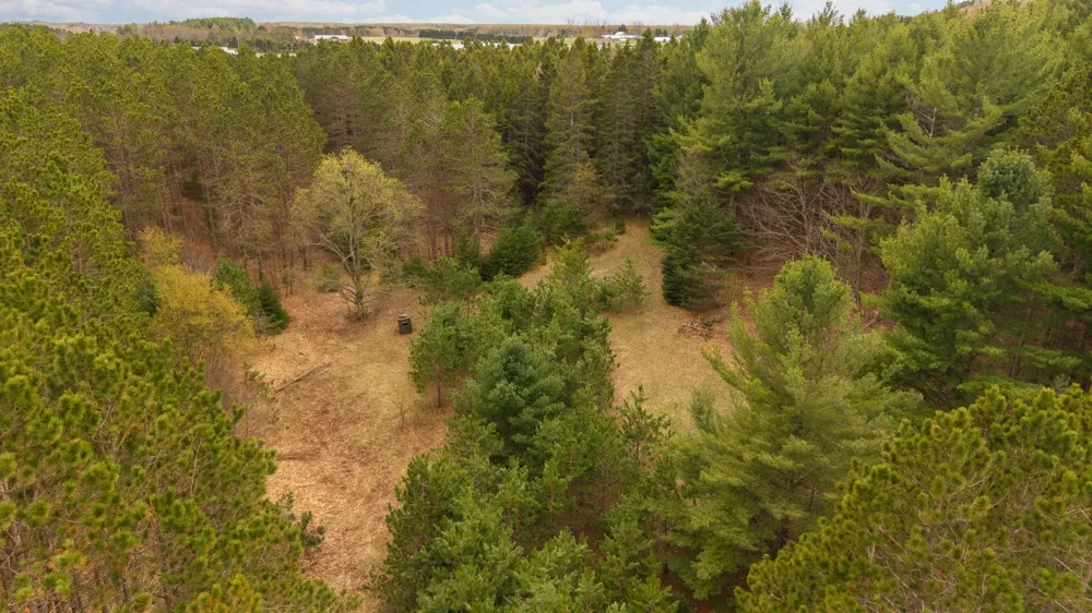 3695 W Timber Lane Kasson Township, MI 49630