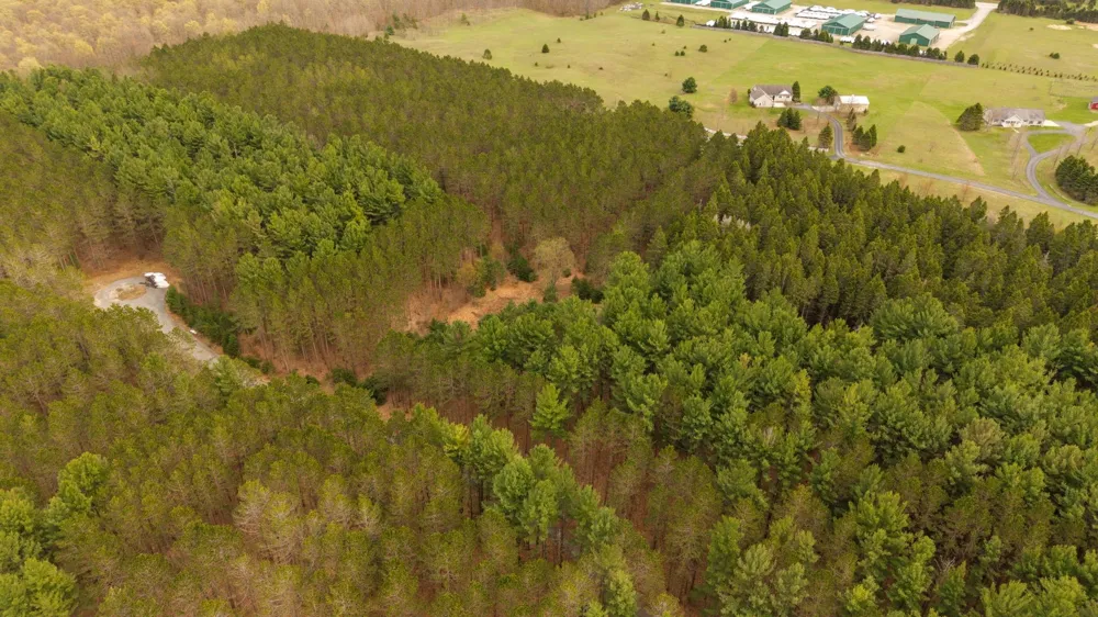 3695 W Timber Lane Kasson Township, MI 49630
