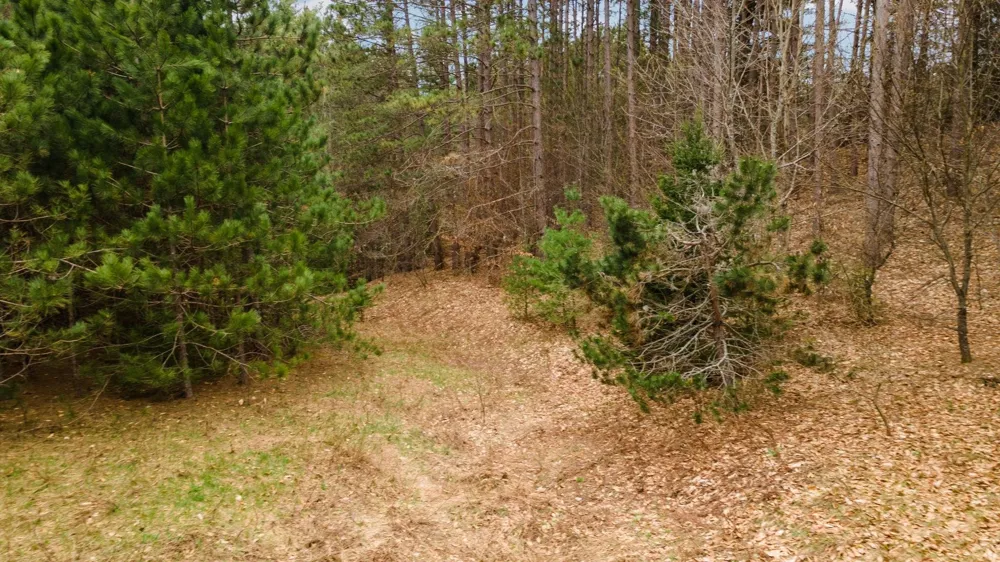 3695 W Timber Lane Kasson Township, MI 49630