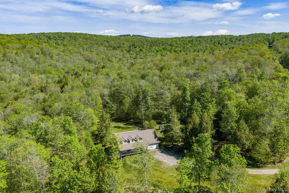 114 Turkey Hollow Lane Livingston Manor, NY 12758
