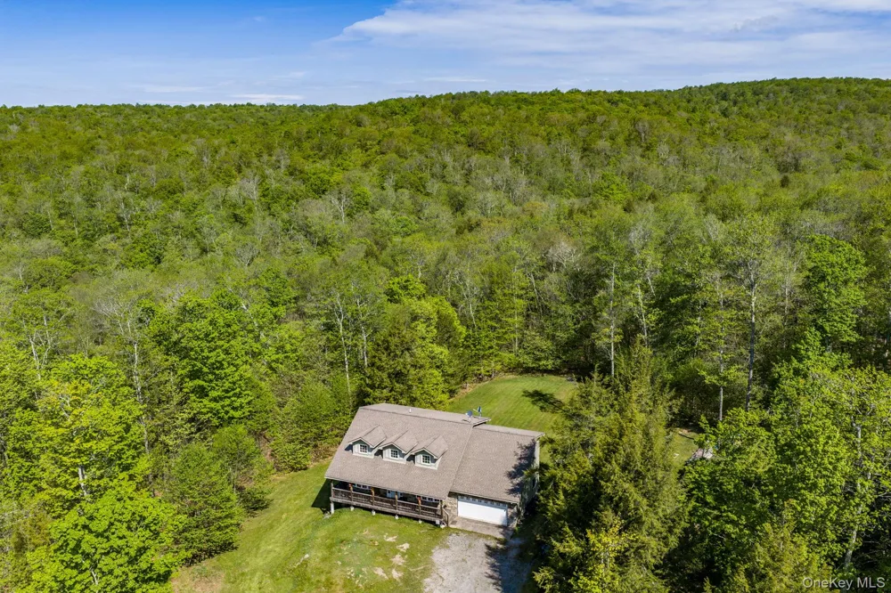 114 Turkey Hollow Lane Livingston Manor, NY 12758