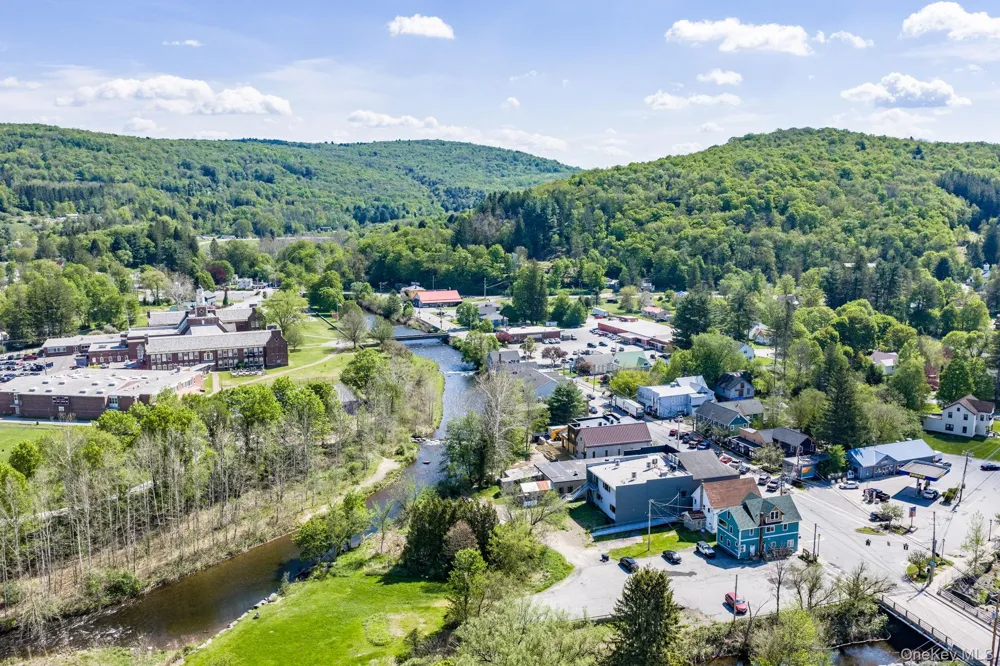114 Turkey Hollow Lane Livingston Manor, NY 12758