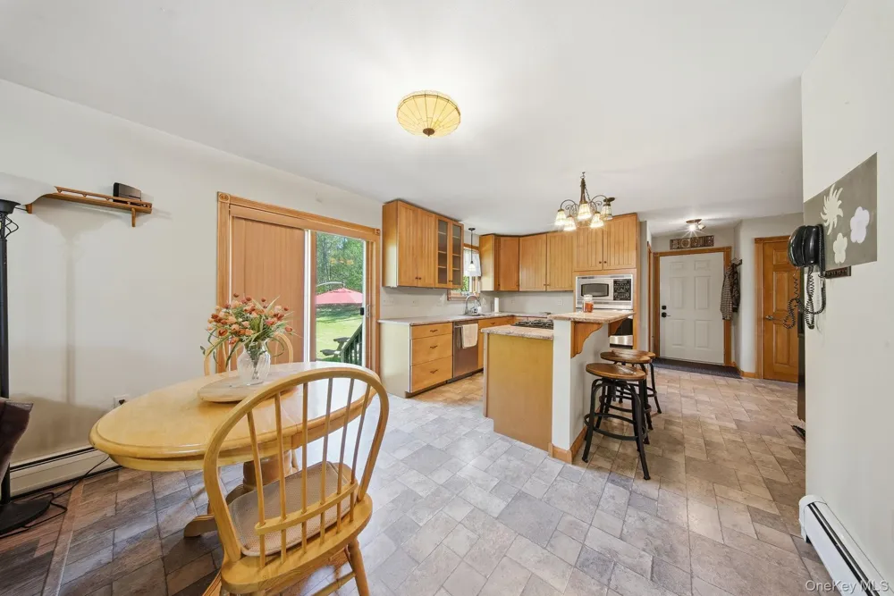 114 Turkey Hollow Lane Livingston Manor, NY 12758