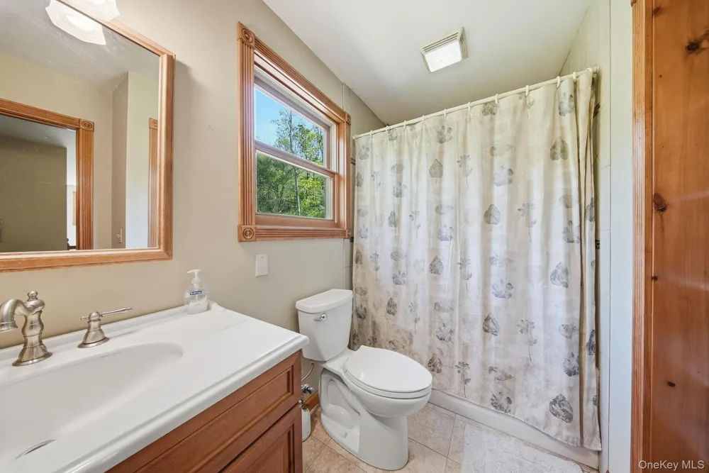 114 Turkey Hollow Lane Livingston Manor, NY 12758
