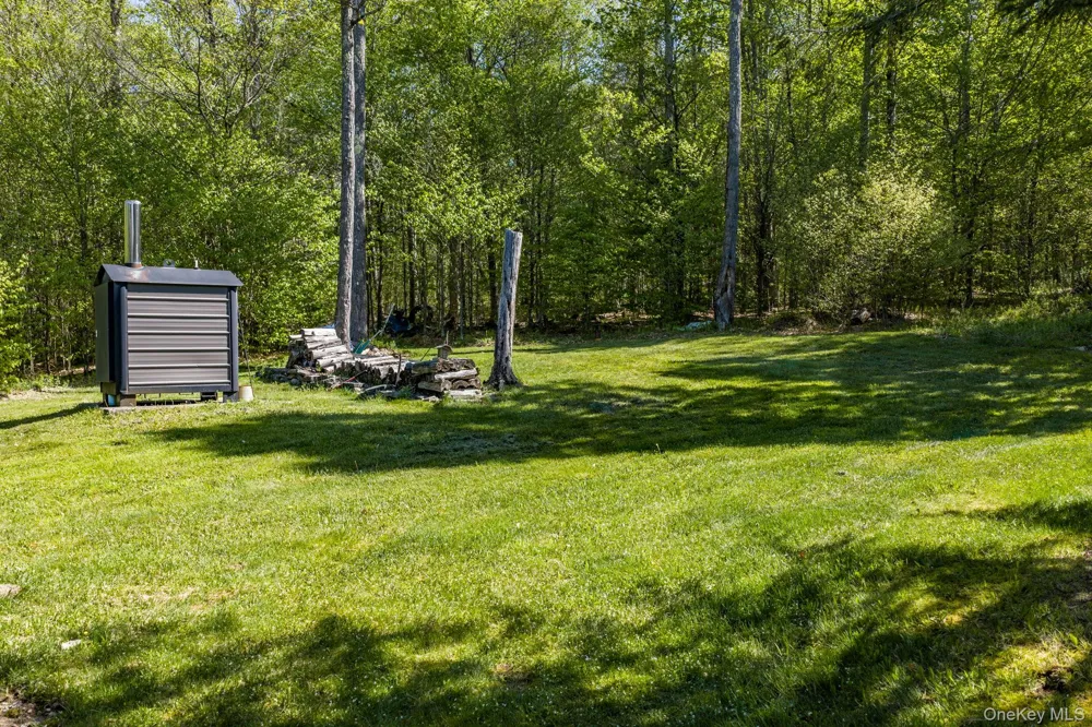 114 Turkey Hollow Lane Livingston Manor, NY 12758