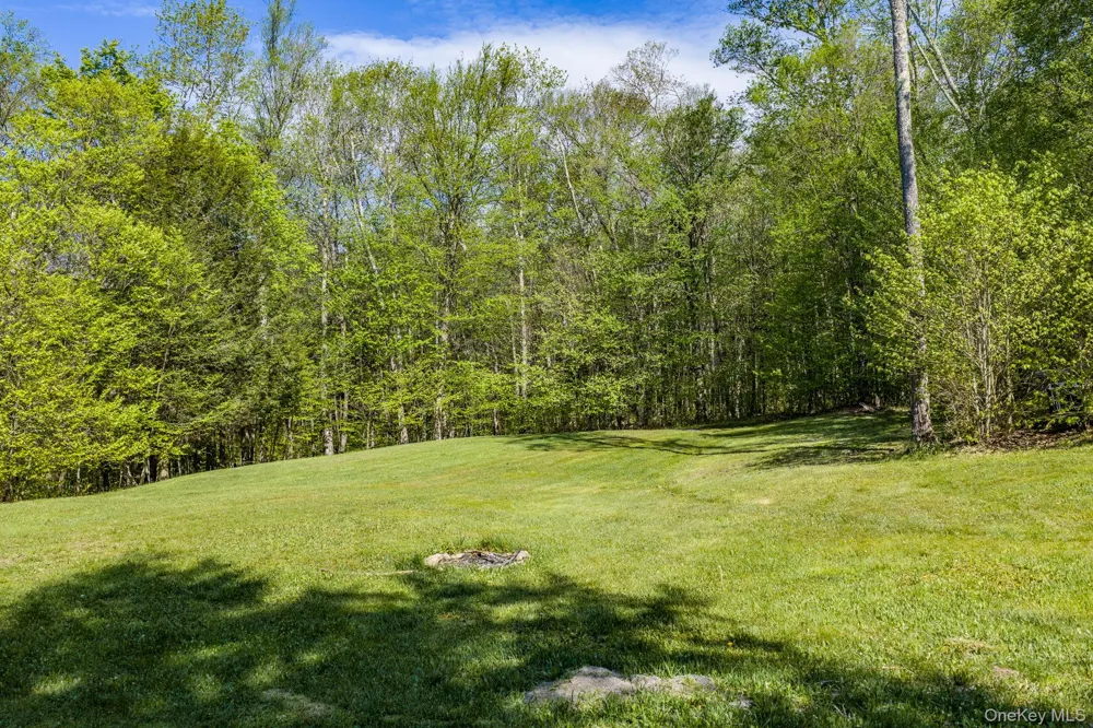 114 Turkey Hollow Lane Livingston Manor, NY 12758