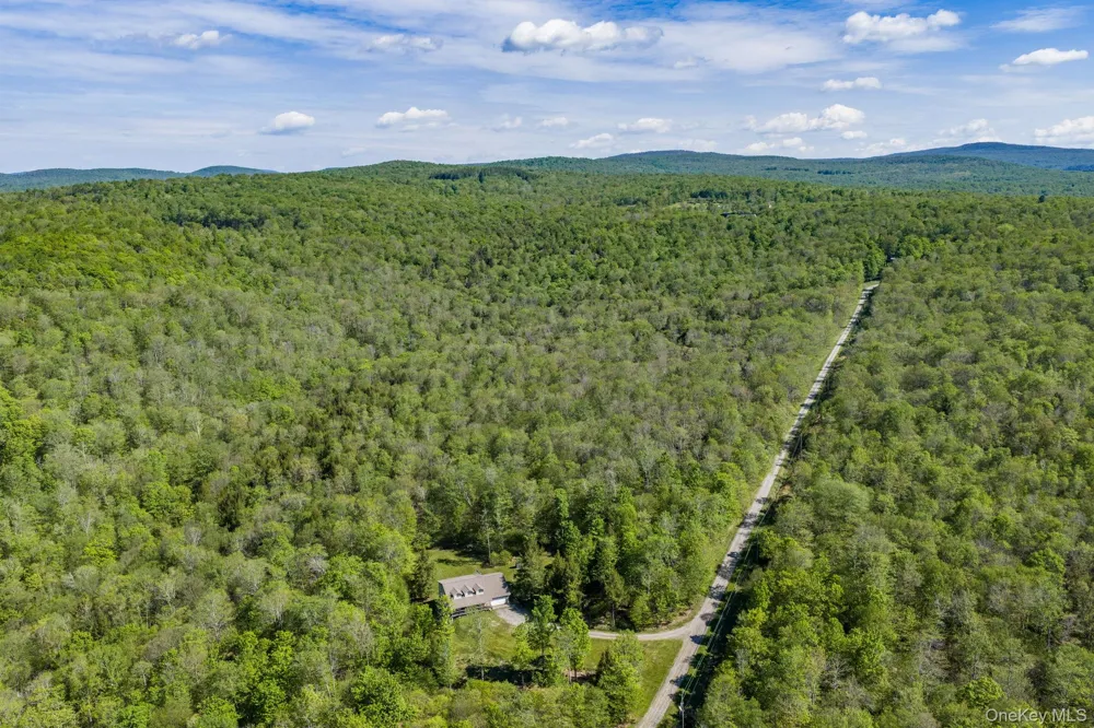 114 Turkey Hollow Lane Livingston Manor, NY 12758