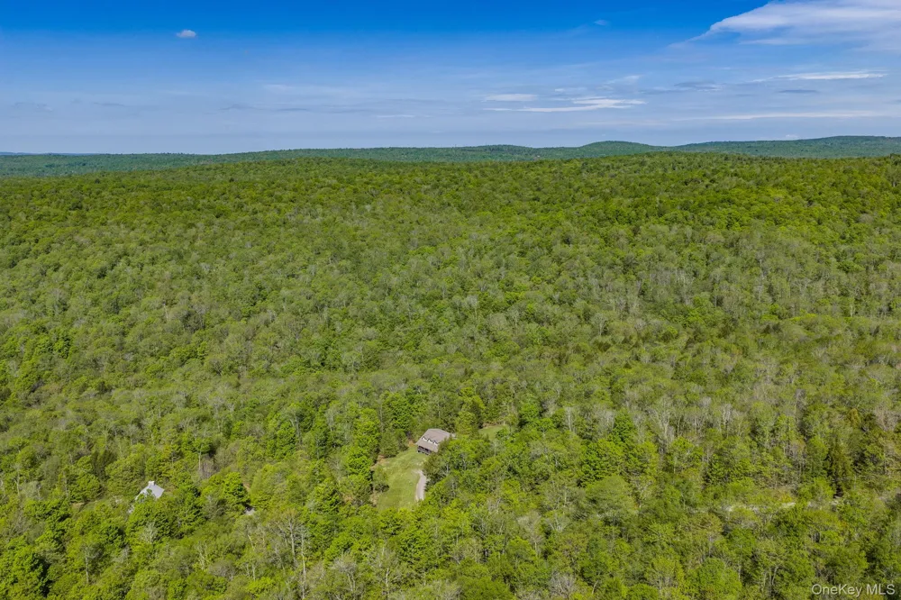 114 Turkey Hollow Lane Livingston Manor, NY 12758