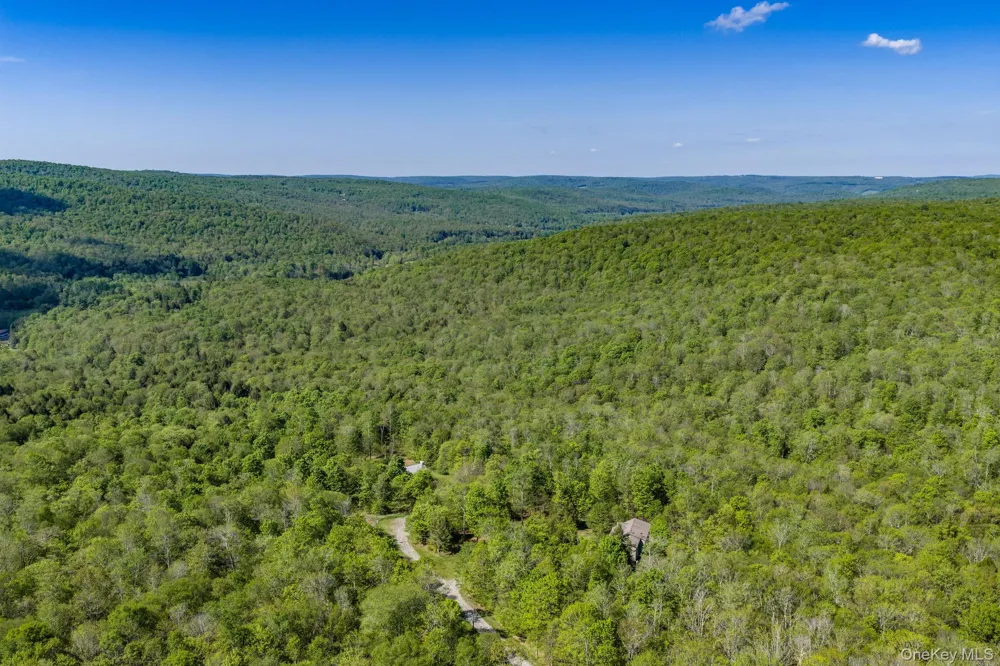 114 Turkey Hollow Lane Livingston Manor, NY 12758