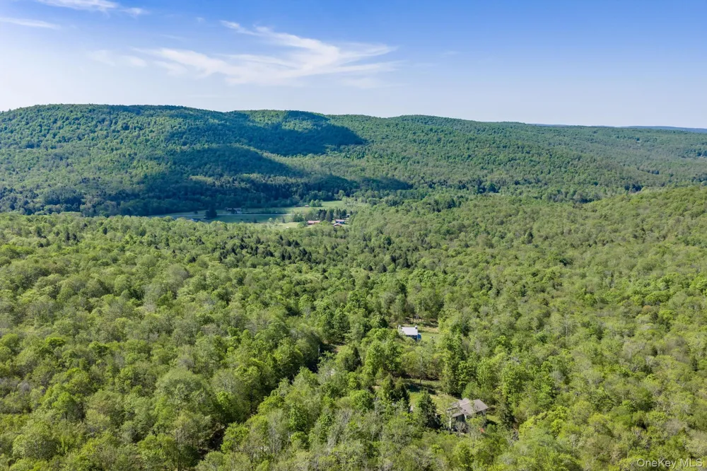 114 Turkey Hollow Lane Livingston Manor, NY 12758