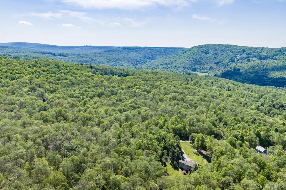 114 Turkey Hollow Lane Livingston Manor, NY 12758