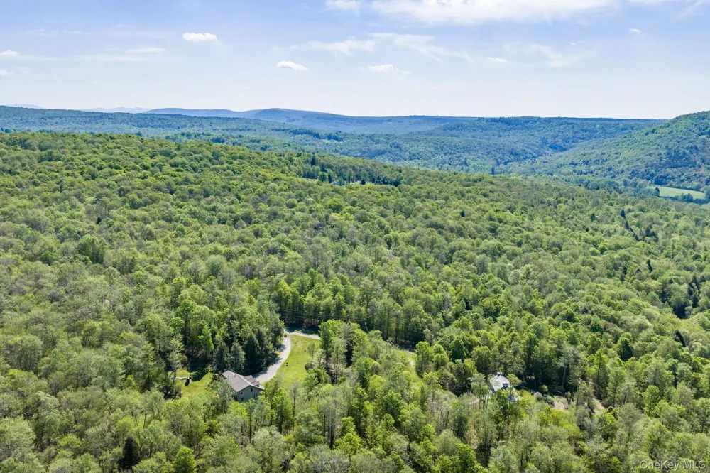 114 Turkey Hollow Lane Livingston Manor, NY 12758