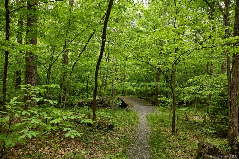 96 Plains Road New Paltz, NY 12561