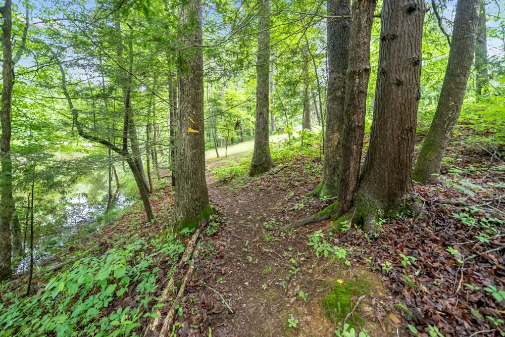 0 Siever Rd Crossville, TN 38572