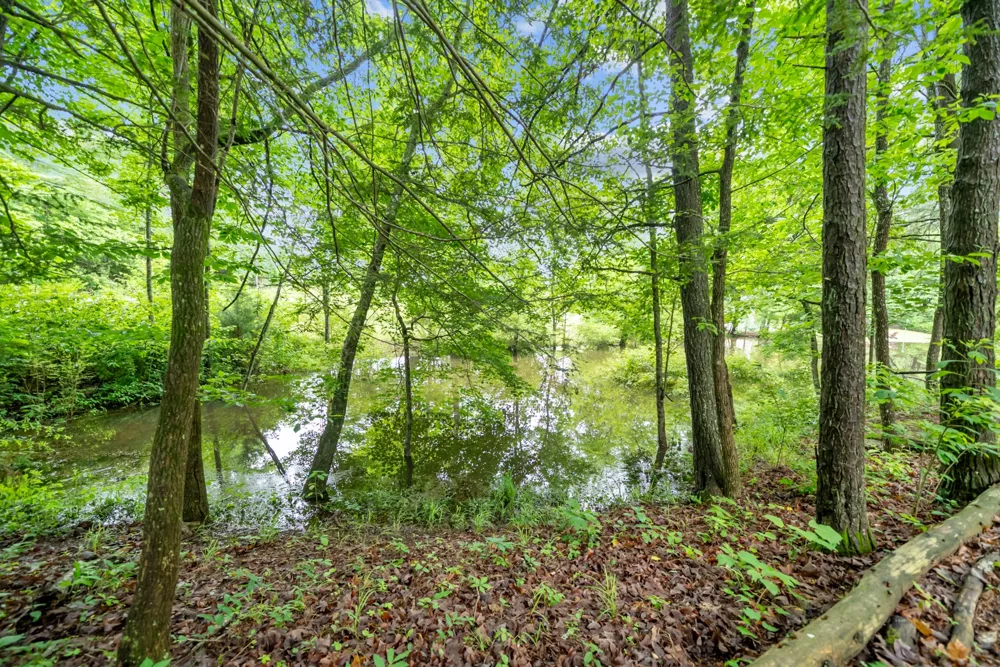 0 Siever Rd Crossville, TN 38572