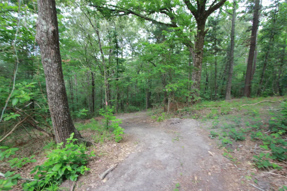 Hwy 31 Tyler, TX 75705