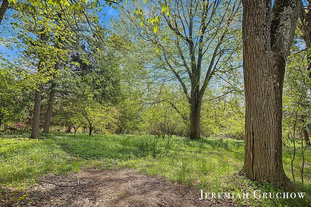 8721 Conservation Street NE Ada, MI 49301