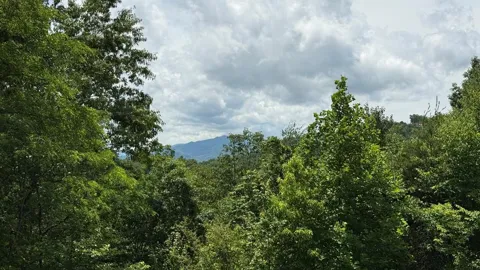 Lookout Point
