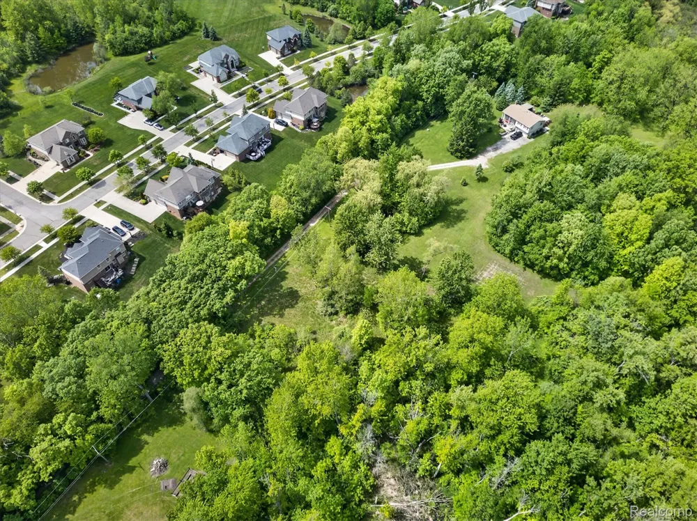 9 Mile Road Novi City, MI 48374