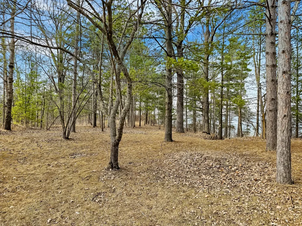 31489 Co Hwy 35 Ponsford, MN 56575