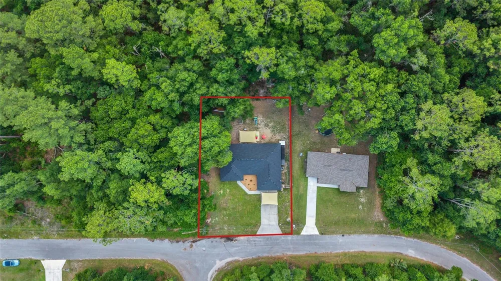 9 SEQUOIA LOOP LANE Ocklawaha, FL 32179