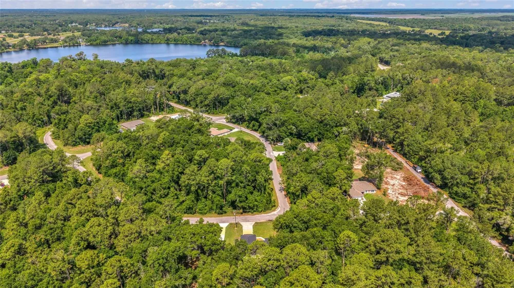 9 SEQUOIA LOOP LANE Ocklawaha, FL 32179