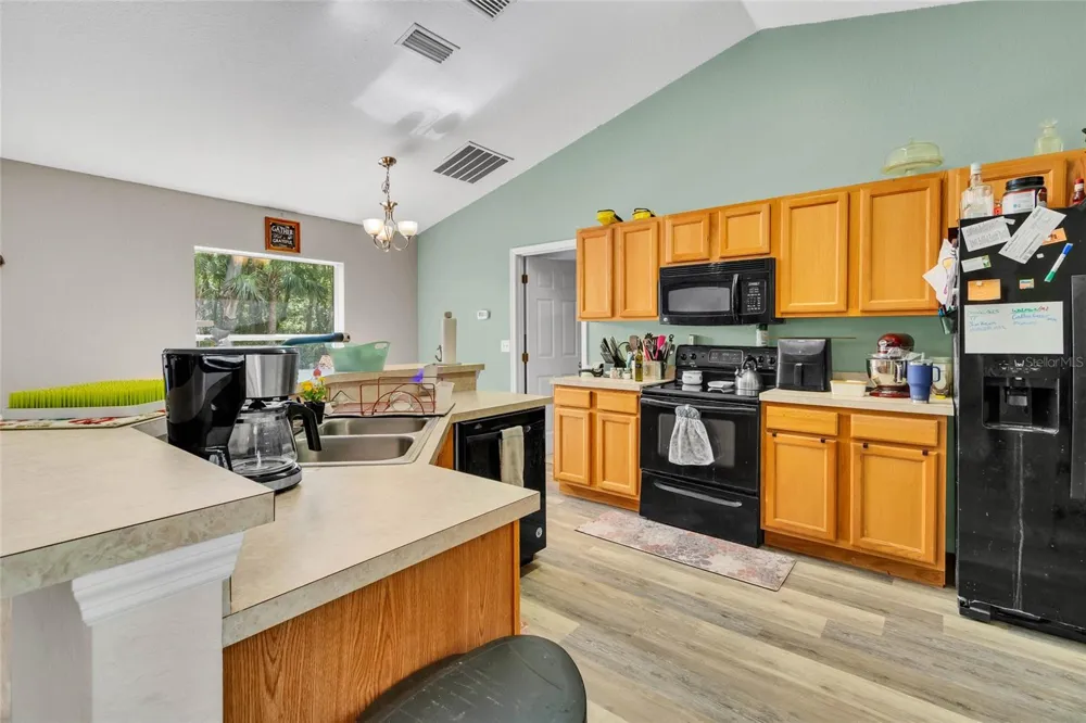 9 SEQUOIA LOOP LANE Ocklawaha, FL 32179