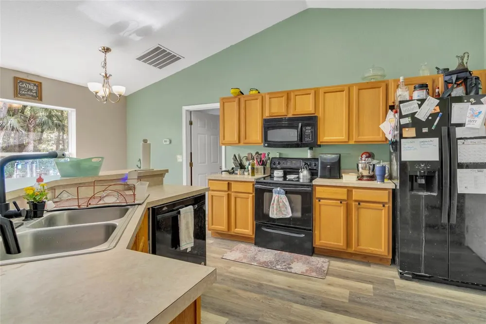9 SEQUOIA LOOP LANE Ocklawaha, FL 32179