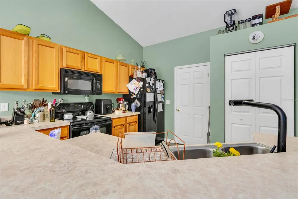 9 SEQUOIA LOOP LANE Ocklawaha, FL 32179