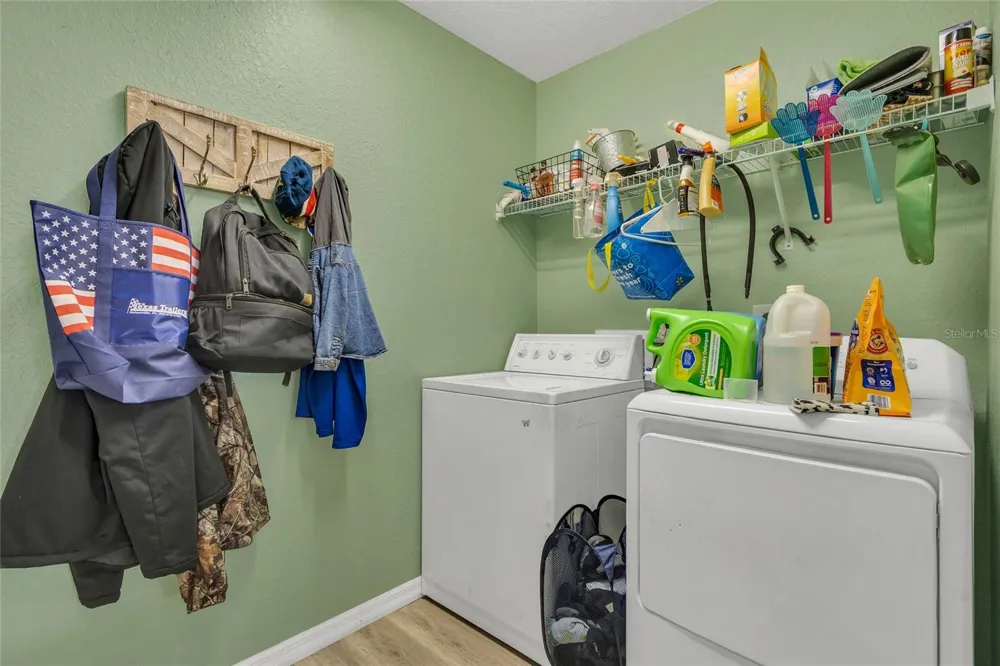 9 SEQUOIA LOOP LANE Ocklawaha, FL 32179