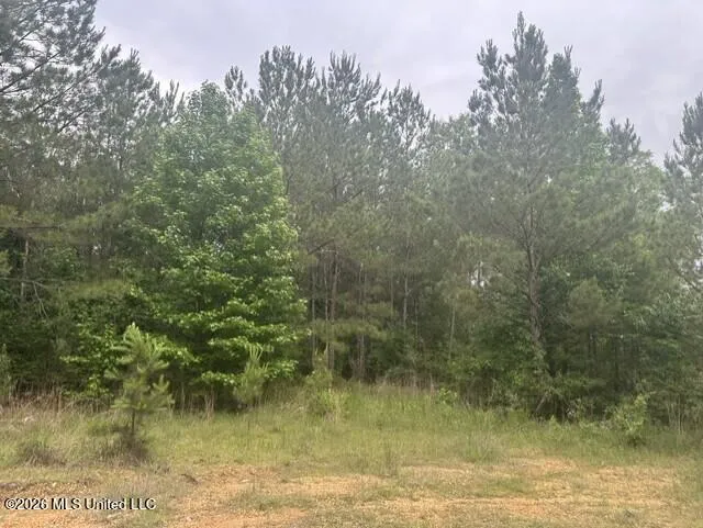1048 Williamson Road Wesson, MS 39191
