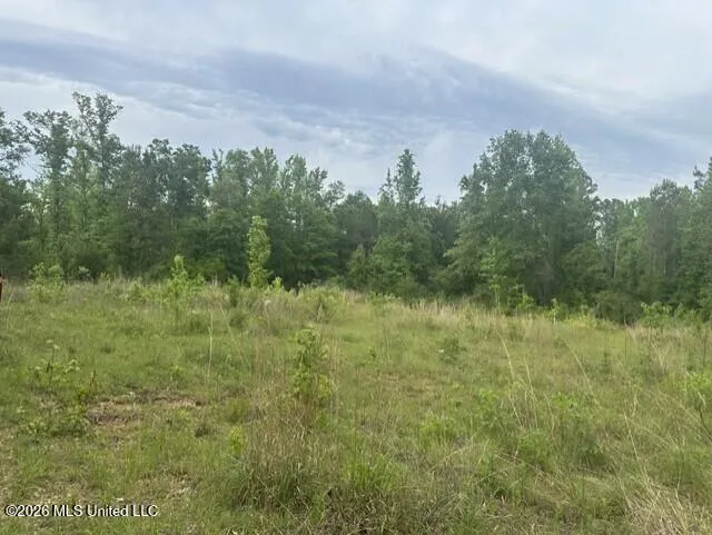 1048 Williamson Road Wesson, MS 39191