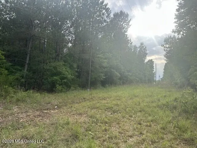 1048 Williamson Road Wesson, MS 39191