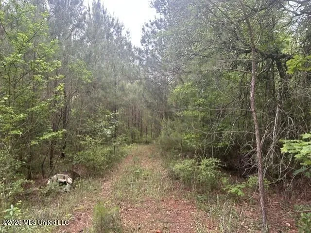 1048 Williamson Road Wesson, MS 39191