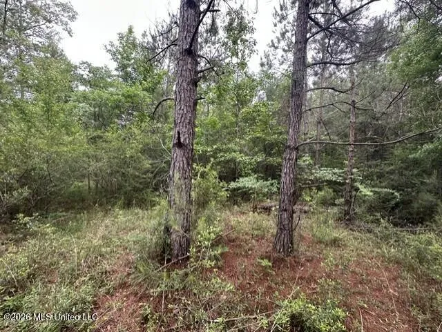 1048 Williamson Road Wesson, MS 39191