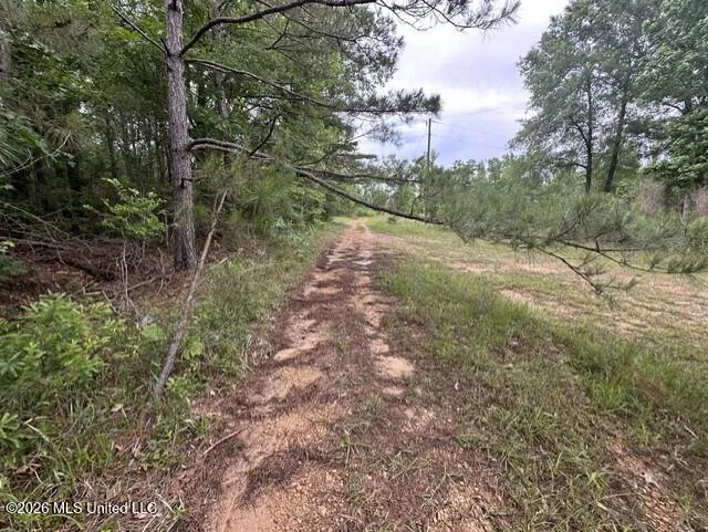 1048 Williamson Road Wesson, MS 39191
