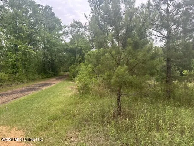 1048 Williamson Road Wesson, MS 39191