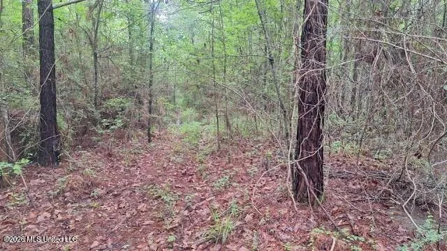 1048 Williamson Road Wesson, MS 39191