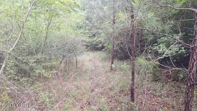 1048 Williamson Road Wesson, MS 39191