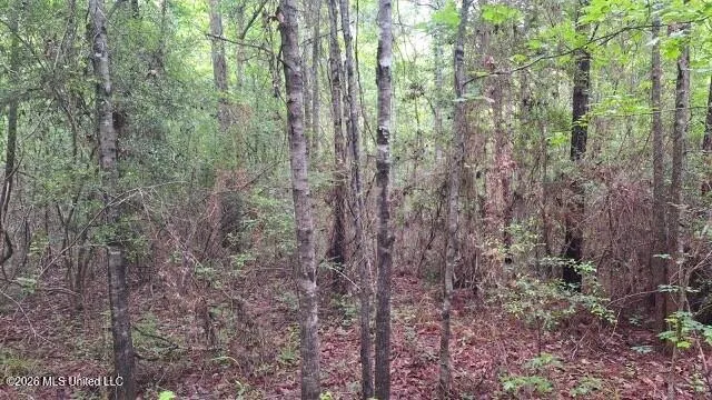 1048 Williamson Road Wesson, MS 39191