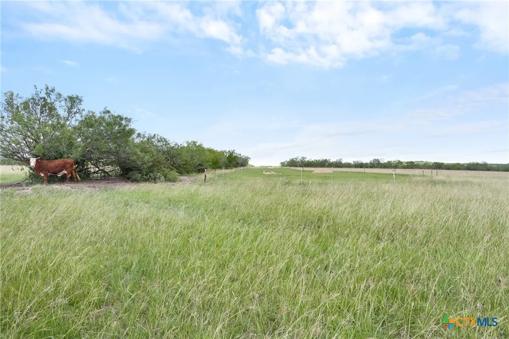 1190 Dickerson Road Lockhart, TX 78644