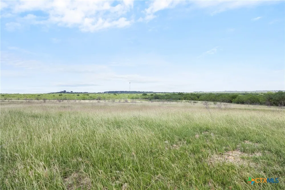 1190 Dickerson Road Lockhart, TX 78644