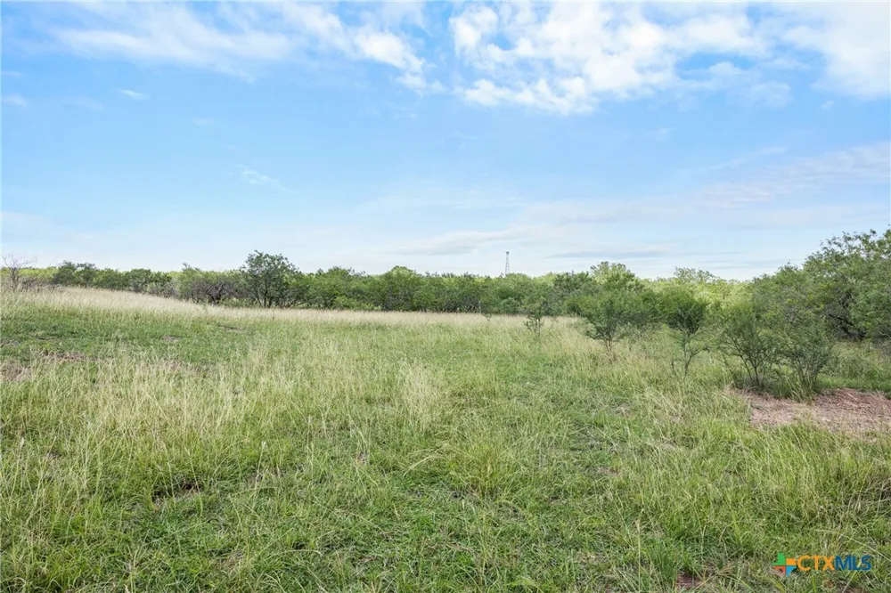 1190 Dickerson Road Lockhart, TX 78644