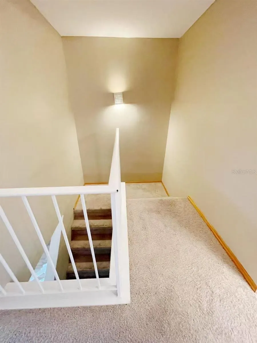 14402 REUTER STRASSE CIRCLE #223 Tampa, FL 33613