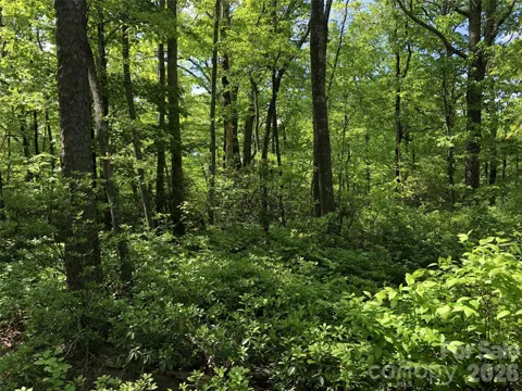 00 Millard Crossing #17