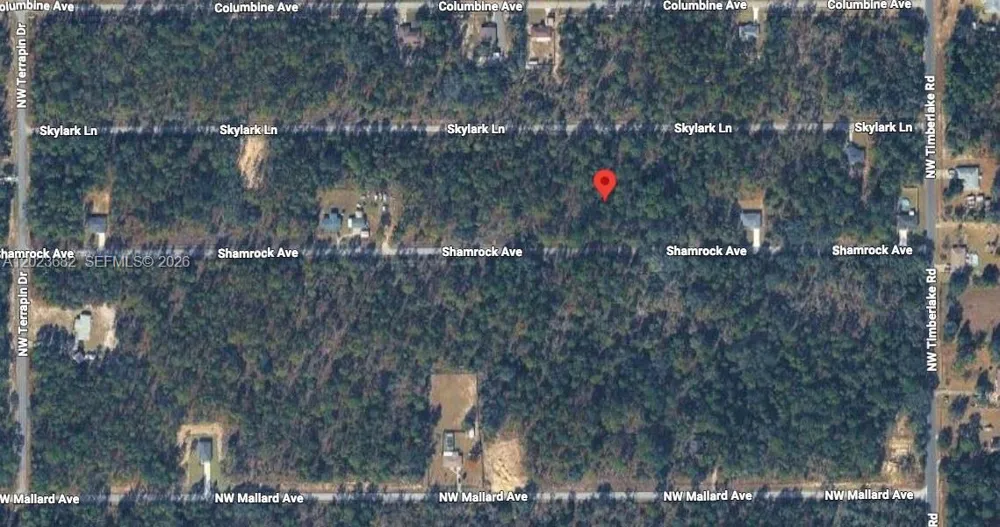 47 Shamrock Avenue Other City - In The State Of Florida, FL 34431